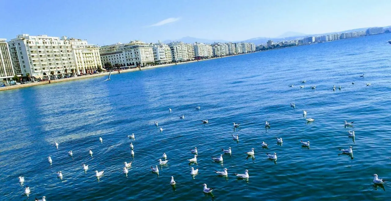 Center In The City Near The Sea And Conference Center Of Concert Hall سالونيك 0*,